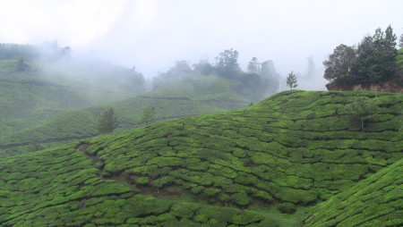 Best Places To Visit During Monsoon Rainy Season In Kerala - Tour ...