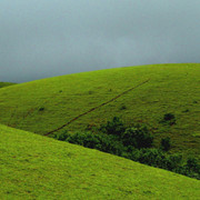 7 Hill Stations near Chennai that you Can't Miss in 2024