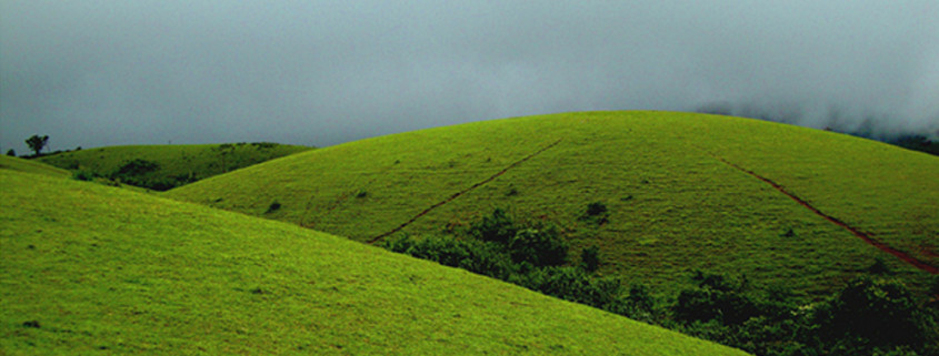 7 Hill Stations near Chennai that you Can't Miss in 2024